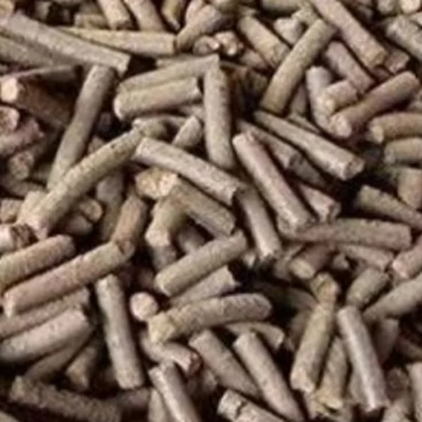 Sea cucumber feed